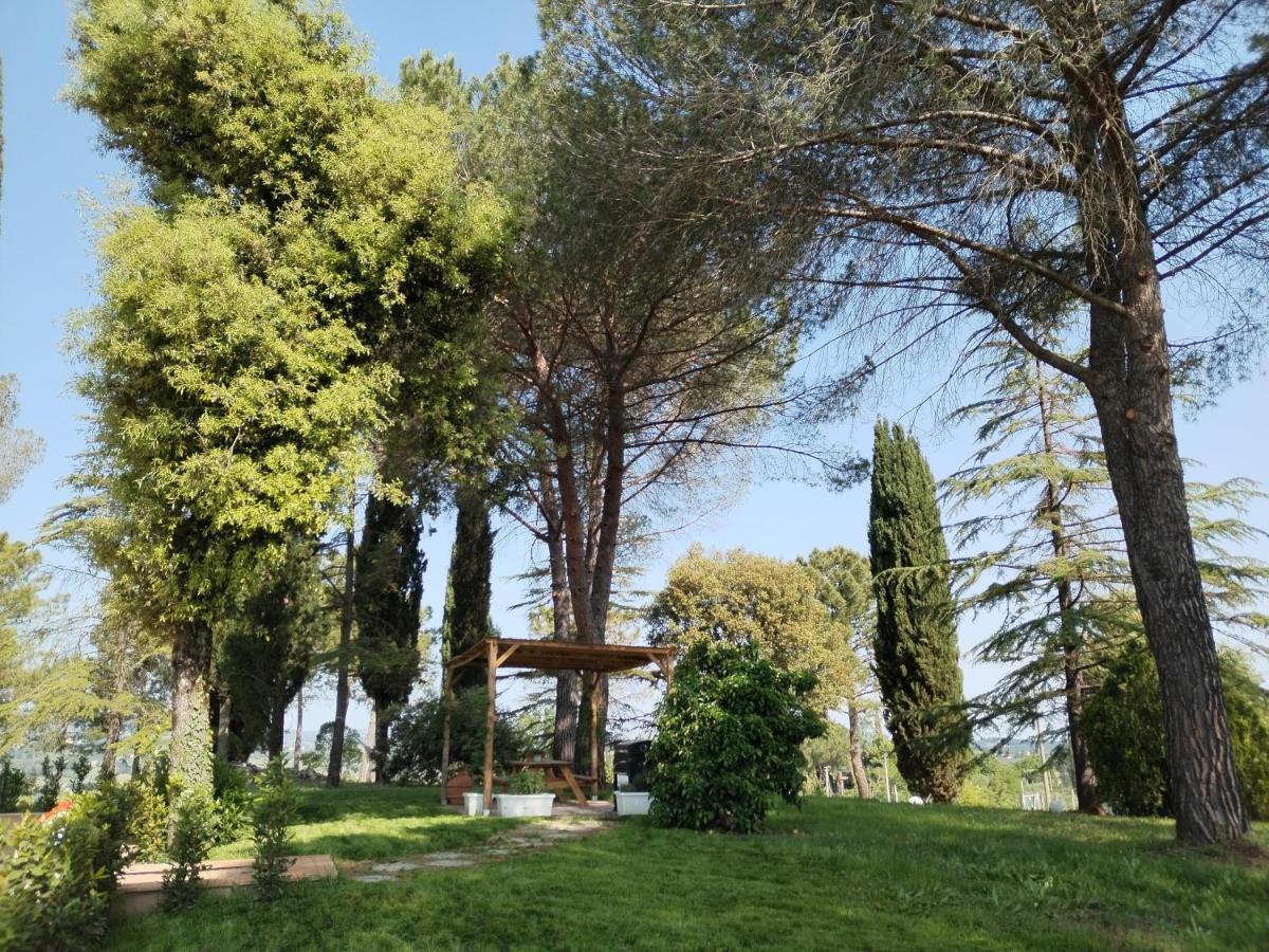 Agriturismo Poggio Rotondo 圣吉米纳诺 外观 照片